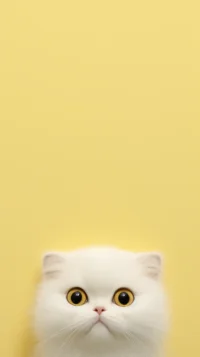 Cute Kitty Cat Yellow Wallpaper